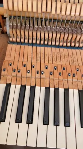 🎹 #fyp #piano #chopin #tuned  