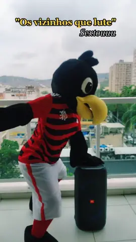 🔊❤️🖤 #urubuzinha #flamenguista #flamengo #sextou #fypシ 