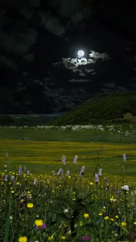 Relaxing Night View #nightsky #nature #scenery #fyo #foryou  #foru #beautiful #nighttime 