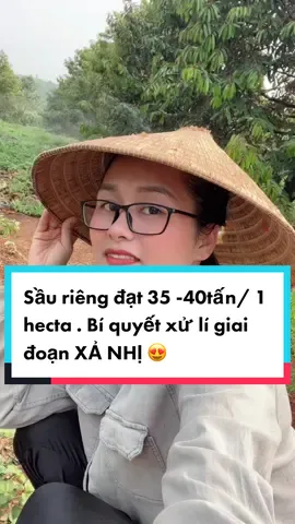 Sầu riêng: Bí quyết xử lí giai đoạn XẢ NHỊ để thu về 35 tấn/ hecta. #HuyềnSầuRiêng #sầuriêng #xuhuong #ancungtiktok #nongsan #ocop #daklak47 #nongsanvungmienvietnam @Huyền _ Sầu Riêng Tử Tế 🍀 