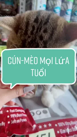 Pudding sữa dê cho cún và mèo mọi lứa tuổi #xuhuong #catlover #catsoftiktok #vairal #tommypetshop #puddingsuade 