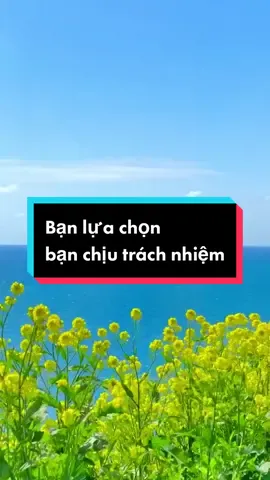 #foryou #trichdansach #nangluongtichcuc #noluc #minhphaisongnhubienrongsongdai 