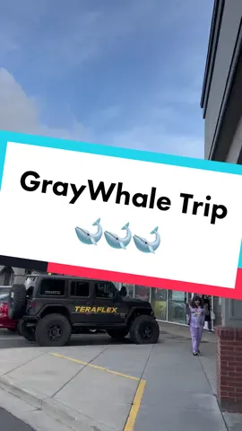 My Graywhale trip 😁 @graywhaleslc with (the voiceover i was suppose to do but i was sick 😂) #graywhale #graywhaleslc #movie #movies #fyp #viral #cine #utah #utahcheck #collector #collection #bluray #dvd #fypシ #horror #horrortok #horrormovie #horrormovies #saltlake #slc 