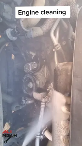 jeep grand cherokee engine cleaning  #mechanic #cargirls #carguys #carwash #cleaning #satisfyingvideo #detailing  #meguaers #sunny #camry #qualityparts #qualityrepairs #alimech #headlights #brakerotors #brakerotor #satisfying #rubi #barcelona #oilchange #reelart #artreels #jeep