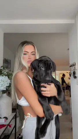 handsome boy