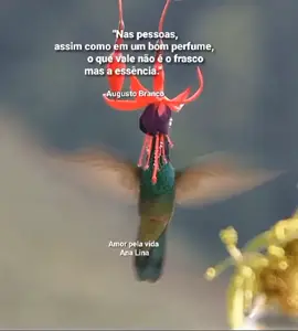 O que vale é a essência  #mahadevsatstus #frasesdesatstus #sejaumcriadordeconteudos #sejacriadortiktoker #TikTokMeFezAssistir #frases 