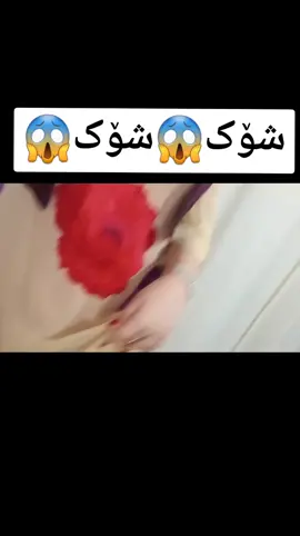 #فيفا #فري_فاير_عرب #فرنسا #فرنسا #فورتنايت #ئەکتی #ئەکتیڤم_سفرە #لایکو_کۆمێنت_فۆڵۆلەبیر_مەکەن #ڤۆلۆم_بکەن_بۆبەردەوام_بوونم #مەلیسا #کوردستان #کورد #هەلەبجە #کەرکوک #ئەکتیف #کێرم_بەقوزی_خوشکی_ناحەز #کێرمە_قنتان_ئەکتیڤبن #کێری_هەمووتان_بەقوزم #کێر #جەمجەمال #دهۆک 