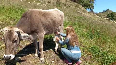 #sacando #leche 🥛de #vaca 🐄 #recordandoviejostiempos 🥰🥳 #felizfindesemana😘