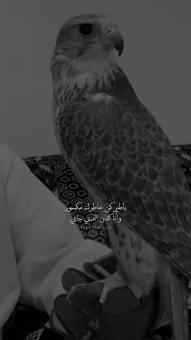 يا طير كن خاطرك مكسور  ‏وانا كفاني الذي جاني#مشعل_الحبيني #al_شعر #قصيد #شعر #ابيات #capcut #بدون_موسيقى 