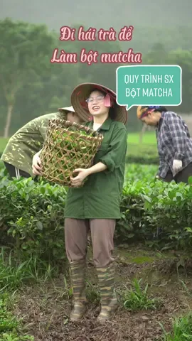 Mong rằng sản phẩm của quê hương sẽ được mọi người đón nhận ☺️#thainguyen #lacyentra #matcha #nongsan #LearnOnTikTok 