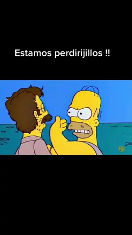 Estamos perdirijillos !!! #homero #lossimpson #nedflanders #flanders #viral #estamosperdidos 