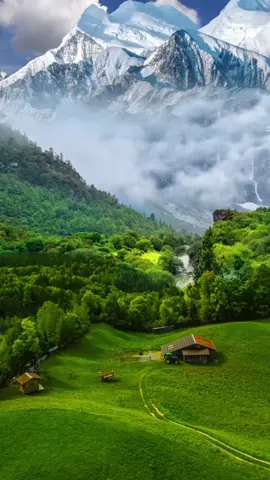 No copywriting, only beautiful scenery #scenery #nature #spring #beautifull #beauty #f #foryou #fyp 