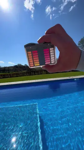 One of my regulars. ☀️☀️#thep00lguy #hollayaboy #oddlysatisfying 