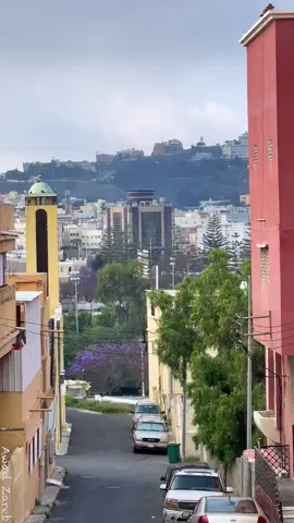 صباح العيد في أبها , أجمل صباح 