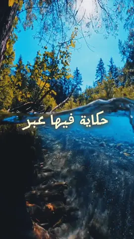❤❤حكايات ماأحلاها #سبيستون #أغاني_سبيستون #رشا_رزق #سبيستونيات #fyp #viral #fypシ #foryou #سبيستون_قناة_شباب_المستقبل #حكايات_ما_احلاها 