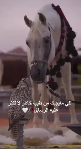 ‏البُعد لا يُقلل من المحبة، العزيز يظل عزيز حتى وإن كان بعيد كل البُعد عن الأعين🥀🤍