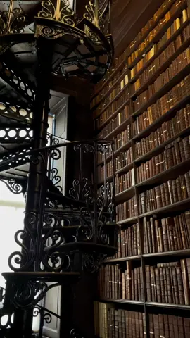 The most beautiful library I’ve ever seen ✨ #harrypotter #hptiktok #hogwarts #darkacademia #library #darkacademiaaesthetic #hpedit #hpaesthetic #harrypottertok #pourtoi #fypシ 