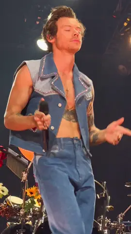 @HSHQ ‘Cinema’, Love on Tour 2022, Austin ll Credit video @beth  #harrystyles #hs #hshq #loveontour #loveontour #hslot #hslot2022 #hslotaustinn6 #harrystylesvideo #harrystylestiktok #harrystylesedit #harrystylesvid #harrystylesfan 