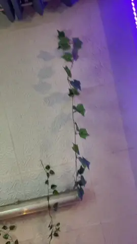 J’ai envie de cr3v3r 