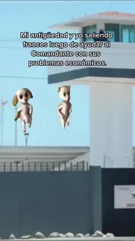 Puro espíritu de cuerpo 🤑 #CapCut #fyp #sedena🇲🇽 #armadademexico #gnsemar #GN #compañerismo #espiritudecuerpo🇲🇽 