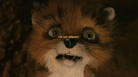 different #fyp #fantasticmrfox #ash #ashfantasticmrfox #ashfox 