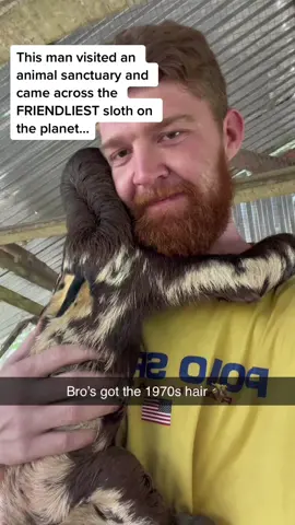 The sloth’s face when he turns around 😭😭😭 (Josh Harris via @ViralHog) #pubity 