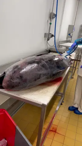 #myristorantecreation #pourtoi#foryou #fypシ 