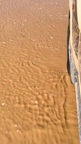 #الشاص_عز #الوديعه🧡💭