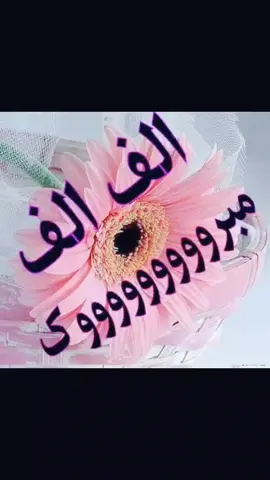 الف الف الف مليون مبروك الملكه ي بنت اخوي الله يتمم على خير يا رب الله يوفقكم ويسعدكم يارب دامت الفرحه ي حبيبتي ي ندى 😘❤️❤️❤️🌹🌹🌹💋💋💃💃