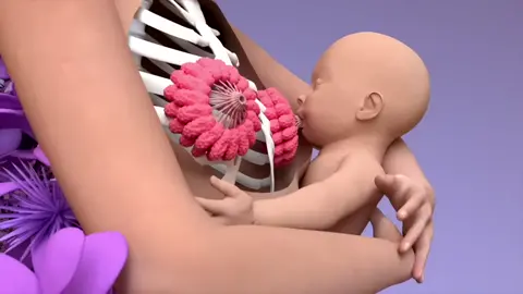Breastfeeding  3D Animation #medicaltiktok #orthopedics #surgicalanimation #processvideo