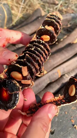 Mn nói #traiomoi rụng ở đâu nhiều chứ chổ tui kiếm có thấy trái nào đâu #catlai