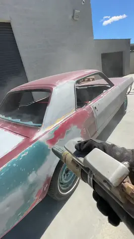 Removing this paint like a magic eraser on this Mustang 👊 #satisfying #satisfyingvideo #cars #carsoftiktok #classiccars #oddlysatisfying #oddlysatisfyingvideo #fyp #foryoupage #foryou #fypシ #restore #restoration #paint #ford #mustang #fordmustang #car 