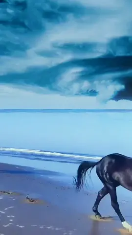 Wow what a Horse😯😯😯😯#horse #horsepower #horsesoftiktok #animalsoftiktok #viral #foryou #wow 