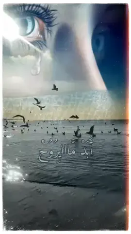 #😔 #ابد_مايروح_طاريكم_من_البال #😨💔 #سعد_البياتي 