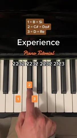 🎹 Like for more tutorials! 🎹 #pianotutorial #easypiano #experience #fyp #einaudi #piano #ludovicoeinaudi #tutorial 
