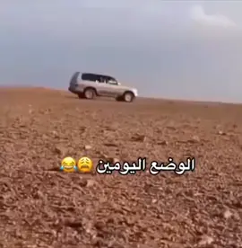 #لانمنا_ماقمنا #الضبعان #حامد_الضبعان #نوم #مضحك_ههههههه #طير #birdslove 