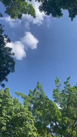 #ViewsVibes #VibesDaNatureza #NaturezaPerfeita #paisagensincríveis #AestheticsVibes #NaturezaAesthetic #céuazul #AestheticVideo #VideoAesthetics #ANaturezaÉLinda #VídeosDeNatureza #BelezaNaNatureza #aestheticvibe #sp #beautifulday #NaturezaEdits 