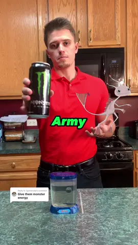 Replying to @3pointnate What will happen if I feed my sea monkeys monster energy #seamonkeys #aquarium #brineshrimp #brineshrimptank #weirdpets 