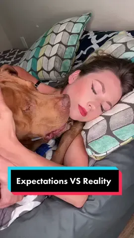 Sleeping with dog expectations VS reality 😂 #dogslife #life with dog #dogs #dogsvideo #fyp #pitbull #pitbulls 