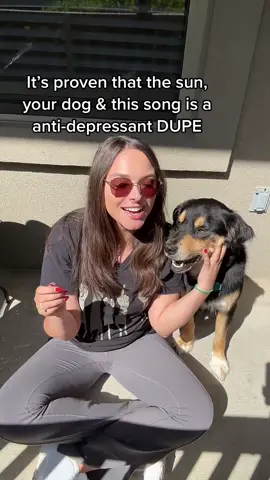 DUPE 
