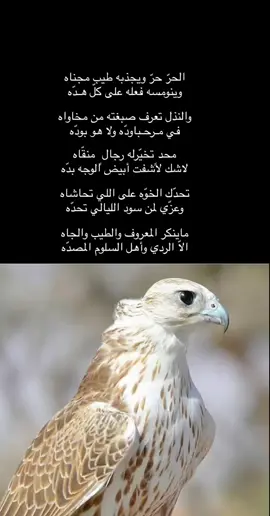 h_hrbi1#قصايد_شعر_ذوق_ابداع #ابيات_شعر_ذهبيه_راقت_لي #ابيات_وقصيدَ♡ #راقت_لي 