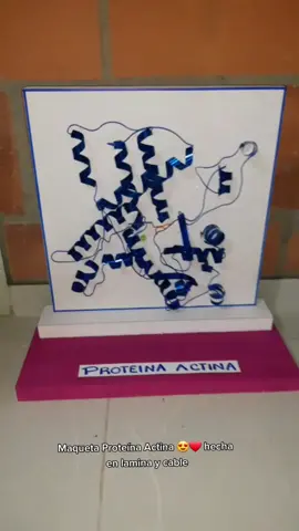 #maquetaproteina #artista #madeincolombia #maquetasescolares #parati #viraltiktok #hechoamano #arte #creativo #videoviral #hazmeviral #art #viral #maqueta #maquetas #hazlosipuedes #maquetacreativa 