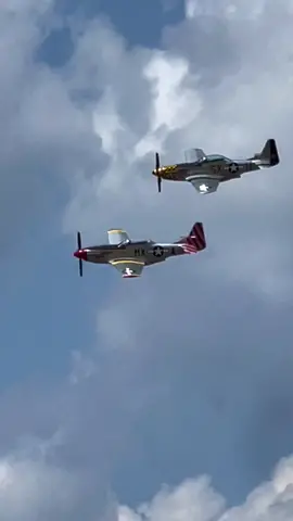 WARNING: This is a :90 second video of one of the most legendary aircraft EVER made. The Iconic P-51 Mustang. Turn up the volume and enjoy all 12 cylinders of these high performance Merlin Engines. #snf23 #sunnfun2023 #merlinengine #p-51 #p-51Mustang #p51 #p51mustang 