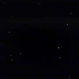 PUGSIN PUGSITO #CapCut #pugbailando #dancingpug 