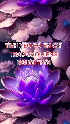 tình yêu đó em chỉ trao cho riêng người thôi #dieunguyen1302 #tiktokxuhuong2023 #xuhuongtiktok #xuhuong #dieunguyen1302 