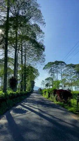 Tag doi suruh ajakin kesini, aku bagian dokumentasi gapapa😌 📍perkebunan teh bedakah wonosobo #mentahan #wonosobo 