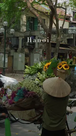 Hà Nội hôm nay trời trở lạnh, tay em có đủ ấm không?  #hanoi #vietnam #vietnamtoiyeu🇻🇳  #ncchanoi #dulichhanoi #mualarung #langthangđườngphố #chillmộtchút #cảnhđẹpviệtnam #binhyen #xuhuong #dicungdang #dailyvlog 