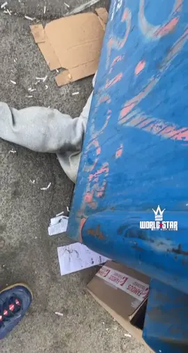 What city is this? 👀👇 (Via IG @king_mos_kennels @pri_puff9) #Worldstar #Fyp #Viral