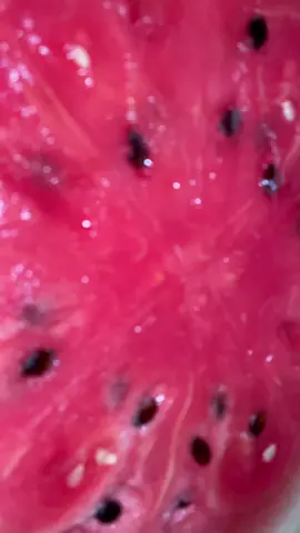 Watermelon & I will be in a committed relationship until the season is over. Find you a seeded watermelon & add some limes I promise you'll thank me. The way it hydrated me & fuels my body #juicing #watermelonseason #seeded #juicingforhealth #watermelonjuice 