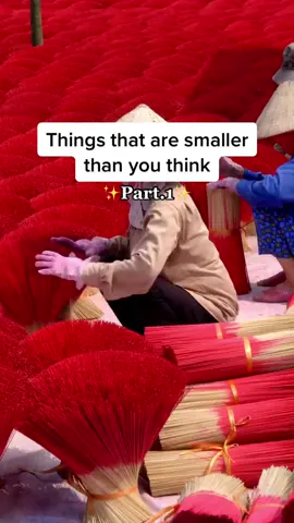 Things that are smaller than you think😳🌏#small #interesting #cute #fypシ #fy 